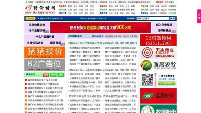 猪价格网