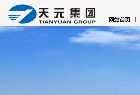 天元集团