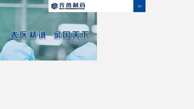 齐鲁制药有限公司