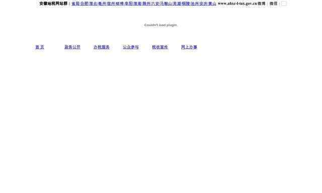 宣城地税网上申报