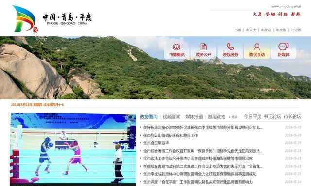 平度政务网