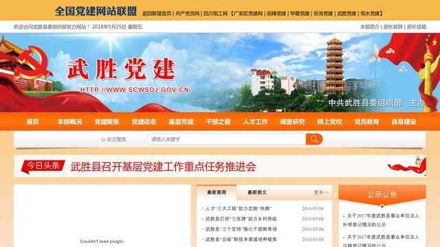 武胜党建网