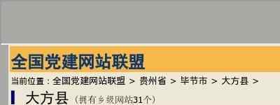 大方县党建网
