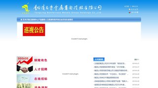 铜陵有色金属集团控股有限公司