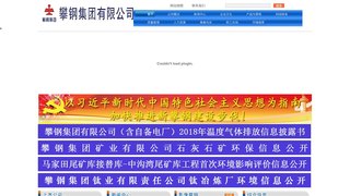 攀钢集团有限公司