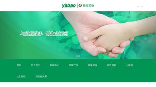 亚宝药业集团股份有限公司