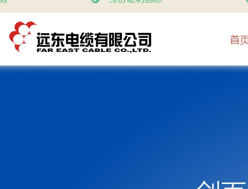 远东电缆有限公司