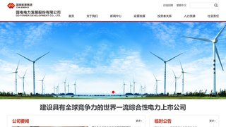 国电电力发展股份有限公司