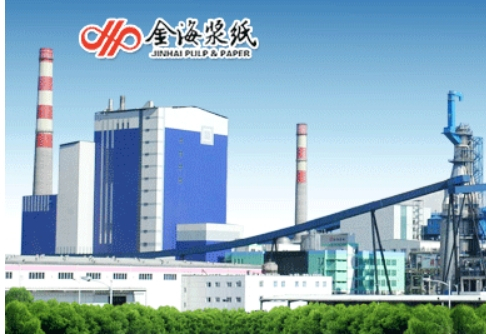 海南金海浆纸业有限公司