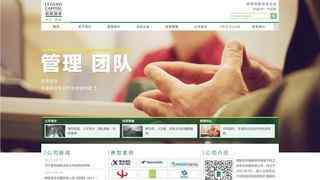 联想投资有限公司