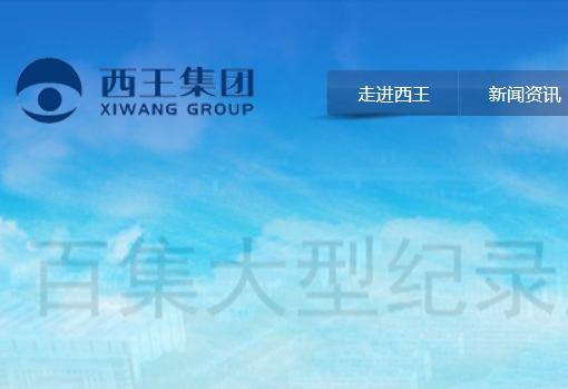 西王集团有限公司