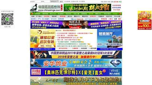 中国信鸽信息网各地公棚