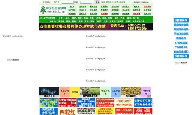 中国花生信息网