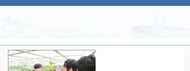 南通市政府网站