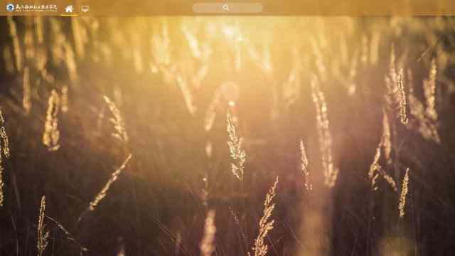 武汉船舶职业技术学院教务系统