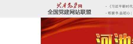 河池党建网
