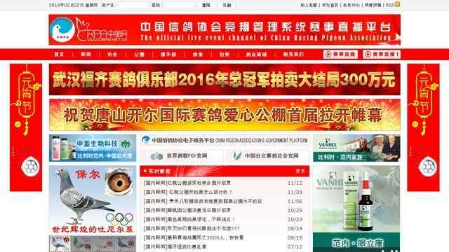 中鸽网