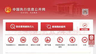 被执行人信息查询网