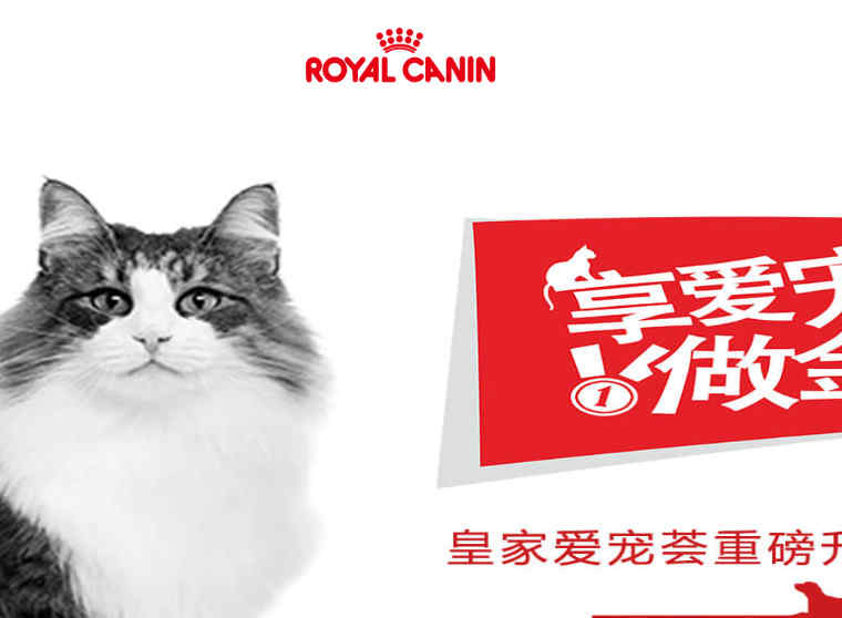 皇家狗粮