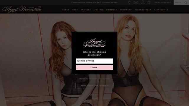 Agent Provocateur