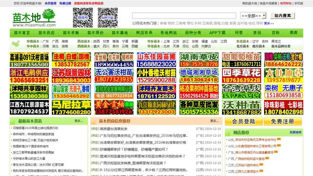 苗木地APP官网