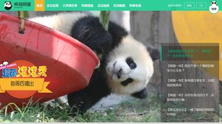 熊猫频道APP官网