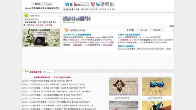 猫猫壁纸酷图片