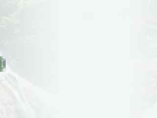 大余县人民政府网