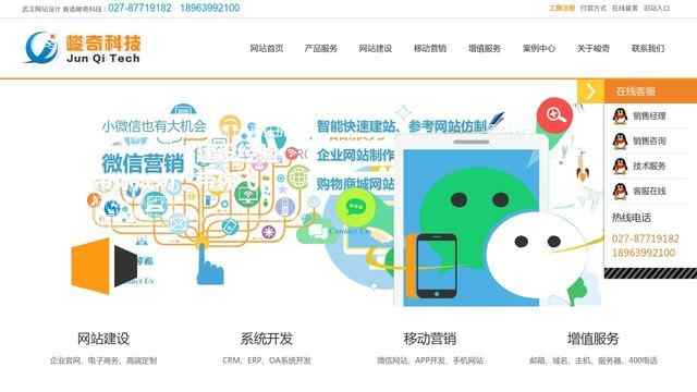 武汉峻奇网络科技有限公司