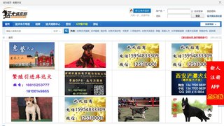 猛犬俱乐部论坛