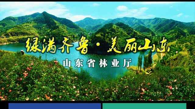 山东林业